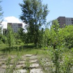 Re, kā daba 26 gadu laika pārņēmusi visu ļaužu sabūvēto. Pripjata Černobiļa