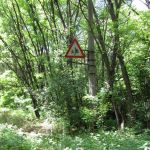 Droši vien, ka bērni te savas kājas nav spēruši apmēram 26 gadus("nāves" zonā ieeja nav atļauta nevienam, kas jaunāks par 18 gadiem), bet zīme vienalga liek uzmanīties. Šis, ja kas, ir Ļeņina bulvāris, galvenā ielā Pripjatā. Senajos laikos tas bija varens un plašs, tagad viss aizaudzis kokiem, ai, ai. Pripjata Černobiļa