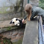 Karīnas jaunais čoms.