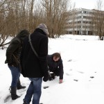 Igors ir ne tikai zinātnieks, bet arī mednieks. Rāda mums mežacūkas kakas un pēdu nospiedumus.