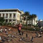 Te es spēlējos ar daudzajiem baložiem muhameda piektā laukumā. Kasablanka Maroka