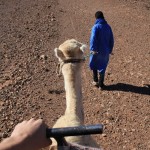 Braucu(jāju) ar kamieli, jessss! Aitbenhadū Maroka