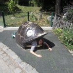 Šādi bruņurupuči arī esot liels retums, šos uzturēt gandrīz vēl dārgāk nekā pandu lāčus. Vīnes zooloģiskais dārzs Austrija