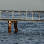 Paskat, kā kaijas sasēdušas, okupējušas katru stabiņu. Atpakaļceļā ar kuģīti uz Faru.