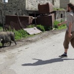 Re, ruksis! Šādi eksemplāri sastopami uz Mestijas ielām regulāri.