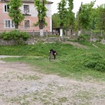 Viņiem joprojām ir publiskie pumpji! Ļoti labi, bezmaksas dzeramais ūdens!