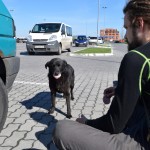 Pie lielveikala sastaptais sunītis. Ļoti, ļoti bailīgs, bet kāre pēc desas lielāka, nekā bailes.