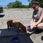 Pēc tam priecīgs notiesāja Mari sarūpētos sausiņus.