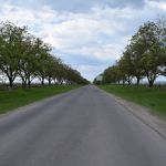 Lūk, Krikovas vīna lauki, kilometriem gari, abās ceļa malās! Turklāt šī ir tikai daļa, lielo daudzumu viņi audzējot Moldovas dienvidos. Klimatisku iemeslu dēļ.
