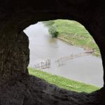 Par šo logu gan viss skaidrs - te var vērot vai galvenais bebrs rūpīgi pilda savus pienākumus un kārtīgi vaktē pārējos.