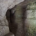 Šī istaba droši vien piederēja visnepopulārākajam mūkam - viss tāds tumšs un drēgns. Turklāt izskatās, ka kāds pat ieriebis un stūrītī nolicis kaksi.