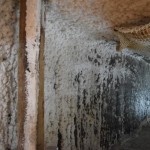 Visur, kur nav smuki nopulētas sienas, veidojas šādas sāls pumpiņas!