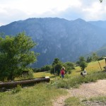 Reku maza meitenīte gana pat vistas!