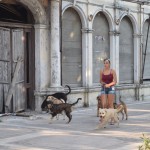 Albāņu suņi un viņu saimnieki!