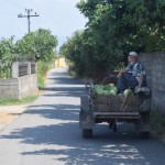 Un šādi mīļi kaimiņi!