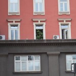 Re, kāds mājās izveidojis dendrāriju!