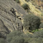 Pa ceļam vēl viens klostera gabaliņš. Iesim skatīties.