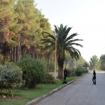 Tepat blakus Persepoles drupām ir arī Šaha Pahlavi telšu pilsētiņas drupas. Nekādas norādes gan uz to neved, līdz ar to, apmeklē to tikai zinātāji. Tādi gudrinieki kā mēs, piemēram. Nekas jau daudz no telšu pilsētiņas nav palicis, tāpēc rādu attēlu ar musulmaņu dāmām, kas taisa smukas bildītes uz telšu pilsētiņas ceļa. Bet stāsts par šaha svinībām gan ir varens - 1971. gadā Šahs Muhameds Reza Pahlavi izdomāja svinēt Persijas monarhijas 2500. gadadienu, un svinēt to godam. Uz ballīti saaicināja teju visu pasaules valstu vadītājus, lielākā daļa no tiem arī ieradās - karaļi, prezidenti, imperatori, ministru prezidenti u.t.t. Ja pagūglē viesu sarakstu, var atrast tādu brīnumainu vēsturiski nozīmīgu cilvēku sarakstu, ka bail paliek! Ballītei tika iztērēti apmēram 22 miljonus dolāru (neviens nezina, cik naudas īstenībā iztērējās), kas arī bija par iemeslu pieaugošai neapmierinātībai ar šaha režīmu, un galu galā noveda līdz 1979. gada revolūcijai. Ja šahs nebūtu toreiz izlēmis bišķiņ ietusēt, varbūt tāds vienums kā Irānas Islāma Republika nemaz nepastāvētu. Tik nozīmīga ballīte tā bija!