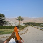 Reku ir pārpalikumi no telšu pilsētiņas. Tātad tā sastāvēja no tūkstoša telšu (nezinu, cik īstenībā), katras valsts delegācijai - viena. Katrā teltī bija nodrošināti telefona un teleksa (moderna tehnoloģija tajā laikā) sakari ar attiecīgo valsti. Ā, un teltis patiesībā nebija teltis, bet gan moderni apartamenti, kas iebūvēti iekš persiešu tradicionālajām teltīm. Ēdināšanu nodrošināja Parīzes restorāns Maxim's, kurš pasākuma dēļ aizvēra savu ēstuvīti Parīzē uz divām nedēļām. Tāpat no Parīzes tika ievesti visdārgākie dzērieni, ēdieni u.t.t. Viesu nogādāšanai tusiņa vietā no lidostas tika sagādāti 170 sarkani Mercedes limuzīni, speciāli sabūvēti jauni ceļi, atjaunota lidosta, u.t.t. Vispār visa tā ballīte ir kaut kas neaptverams. Tik inčīgi! Iesaku pagūglēt sīkāku informāciju, man taču nav tik daudz vietas, lai visu pietiekami sīki aprakstītu.