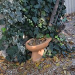 Vēl viens mazdārziņa elements - puķu pods. Kam gan citam tāds īberīgs trauks varētu būt paredzēts, vai ne? Ā, varbūt manu joku bez konteksta tā nemaz arī nevar saprast, bet visiem taču zināms, ka vislabākie joki ir tie, kas pašam jokotājam jāizskaidro. Tāpēc izskaidrošu. Parasti tualešu un podu bildes šeit nepublicēju, bet varu darīt zināmu, ka Irānā mums ierastais tualetes pods ir ārkārtīgi reta parādība. Visur un vienmēr ir tupamie podi - tādi kā atceramies no publiskajām tualetēm Padomju Savienībā, tikai daudz tīrāki, glaunāki un visādi citādi pieklājīga skata.