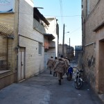 Tālāk vazājos pa mazām, klusām ieliņām un fočēju militāristus. Tas ir tieši tas, ko tūristiem parasti iesaka, haha. Bet kas man cits atliek?! Šīrāza ir pilna ar tiem zaldātiem! Dažreiz gandrīz grūti nobildēt tā, lai neviena kaŗeivja bildē nebūtu. Vietējie mums skaidroja, ka tas tāpēc, ka ir brīvdienas, un visi zaldāti izlaisti no bāzes priecīgi spriņģo apkārt.