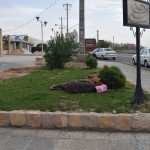 Daudzi vietējie mums apgalvoja, ka Irānā neesot bezpajumtnieku. Nu, nezinu, varbūt tas tiesa, un šis vienkārši ir noguris kungs. Noguris no daudzo maisu ar drēbēm un citu drazu nēsāšanas.