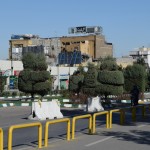 Netālu no autoostas iekopts skaistumkoku dārzs. Kas tas ir??? Izskatās, ka pilsētas valdība publisko dārzu sakopšanai noalgojusi kādas vietējās mākslenītes lielākos delverus.