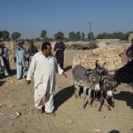 Lūk, mazais, apaļais vīriņš – tas arī ir šī cepļa saimnieks. Pirms turpinu šos briesmu stāstus, gribu uzsvērt, ka cepļa apmeklējuma laikā nezinājām praktiski neko par šīm lietām. Par to mums ļaudis pastāstīja vēlāk, tad vēl bišķiņ papētīju internetos pieejamo, un tagad, vēlreiz ejot cauri bildēm, man izskatās, ka mēs paši nemaz neesam labāki par tiem velna vergturiem. Lai gan, šis vīrs sniegbaltajā tērpā, uzreiz izraisīja kaut kādu nesaprotamu riebumu. Lūk, fonā redzami citi darbinieki - kamēr sievas un bērni lipina ķieģeļus, vīri un lielākie puikas krāmē sagataves krāsnī, nēsā gatavos ķieģeļus šurpu turpu, īsāk sakot, dara visus fiziski smagākos darbus.