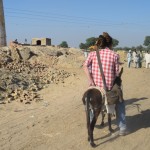 Cepļa saimnieks uzaicināja Karīnu (un pēc tam arī mani) pajāt ar ēzelīti. Lai gan sākumā atteicāmies ar to pašu argumentu, ka negribam mocīt dzīvniekus, pretargumenti par to, ka ēzelīši taču ir paredzēti smagumu nēsāšanai, pieraduši, etc. Tāpēc šeit es daru kaut ko, par ko man ļoti kauns. Bet, nu, ja jau stāstu visu par mūsu ceļojumu, tad visu. Arī nesmukumus. Ā, starp citu, pirms sēdināt Karīnu (viņa brauca pirmā) uz noputējušā ēzelīša, saimnieks norāva kādam strādniekam turbānu, un noklāja uz ēzelīša, lai kundze nesasmērē drēbītes. Labi, es nezinu, varbūt tas nebija īsts turbāns, varbūt vienkārši lakats aptīts ap galvu, es galīgi neesmu speciālists šajos smalkajos jautājumos, bet pēc tam uzzinājām arī to, ka noraut kāda turbānu ir vislielākā necieņas izrādīšana. Pat mūsdienās, ja tu kādu ļoti, ļoti aizvaino, viņš saka: "Nu tu gan man turbānu norāvi!"