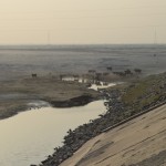 Lietus periodos upes gultne ir pilna ar ūdeni, bet paskat, kas tagad! Vismaz zvēriem ērtāk pienākt padzerties.