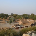 Vēl viena govju partija iet uz upi padzerties ūdentiņu. Un apkārt - ciems. Man tik ļoti patīk tie ciemi, bišķiņ tāda pasaku sajūta. Labi, labi, es zinu, ka tie cilvēki, kas tur dzīvo, ir ārkārtīgi nabadzīgi un viņiem grūti mūžiņi, bet, nu, es taču tāpat esmu parasts tūrists un drīkstu papriecāties par "tradicionālo Pakistānu", vai ne?