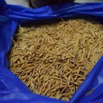 Reku rīsi! Es nezināju arī to, kādi izskatās rīsi! Man likās, ka viņi visi tādi mazi, balti, uzreiz aug paciņās un tā. Arī tos tirgo šeit pat, kad pienāk attiecīgais laiks.