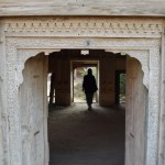 Paskaties, cik smalki kokgrebumi! Varbūt tas nav nekas tāds baigi īpašais, bet es nevaru beigt brīnīties par to, kā kaut kas tāds var saglabāties pilnīgi neskarts tik daudz gadu!