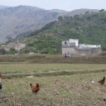 Vistas un bezģeļņiki.