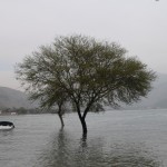 Viena no atrakcijām, kas uzreiz piesaistīja manu uzmanību - nogrimis kuģis un koki, kas saknes dzen zem ūdens. Tā kā ezers ir mākslīgs un tiek izmantots HES vajadzībām, pieņemu, ka ūdens līmenis mainās gana regulāri, tātad, koki kādreiz var augt arī uz sauszemes. Bet kas tādā gadījumā notiek ar turpat blakus esošo kuģi? Noparkots uz sauszemes? Kā šāda absurda situācija varēja izveidoties?