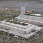 Pašā kūrorta vidū atrodas divi kapi, uz viena no kuriem pusdieno vista. Ok.