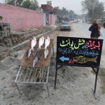 Svaigas zivis Hanpuras zivju restorānā! Vai veikalā. Vai, nu, nezinu, kas tas ir. Jā, tātad esam atnākuši atpakaļ līdz Hanpurai, laiks meklēt transportu atpakaļ uz mājām, uz Taksilu.