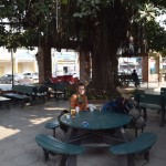 Viesošanās pie Abdula Kadira ģimenes ir galā, un dodamies atkal atpakaļ uz Rāvalpindi. Plānā atrast šeit lētu viesnīcu, dažas dienas padzīvoties (patiesībā gribam pētīt Islāmābādu, bet tur nakšņošana ir šausmīgi dārga, lētāk sanāk komutēties katru dienu no šejienes), un braukt atpakaļ uz Lahoru, saņemt Indijas vīzas.