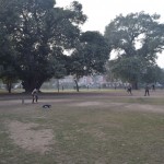 Uzmini, kas notiek parkā? Krikets! Tāpat kā mūsu puikas no jakām un somām taisa futbola vārtus (droši vien jāsaka "taisīja"; mūsdienu puikas futeni spēlē tikai planšetēs un Futbola Skolas "Auda" speciāli aprīkotajās zālēs), šie puikas un dažbrīd pat arī vīri jakas krāmē kriketa aprīkojuma atveidā (nezinu, kā sauc visus tos puļķīšus un kastītes).