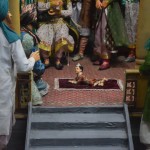 Lūk, patiesais iemesls, kāpēc vispār nācām uz Ram dārzu - Randžita Singha muzejs/panorāma. Randžits Singhs ir pirmās (un, šķiet, arī vienīgās) Sikhu valsts dibinātājs un tāpēc šajā pusē diezgan cienīts vīrs. Muzejiņā ir kaudzēm visādu diorāmu, maketiņu, gleznu par visu Randžita dzīvi, re, sākot pat no pavisam bērnības. Neko daudz par viņa bērnību gan nevar atrast, izņemot to, ka pēc baku izslimošanas, Randžits pazaudējis vienu aci. What? Es nezināju, ka no bakām var tā vienkārši pazaudēt aci. Kā tas ir? Acs vienkārši izripo?