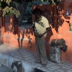 Bomzītis, kurš tikko pačurājis. Šī ir viena no lielajām Pakistānas/Indijas atšķirībām - Pakistānā atkritumu uz ielām ir daudz, daudz vairāk, kamēr šeit tie izmētāti pa atsevišķām kaudzītēm - viena kaudzīte šeit, viena tur, bet starp kaudzītēm viss it kā tīrs. Bet lielā problēma ir tā, ka tajās kaudzītēs slēpjas pats velns! Es nezinu, ko viņi tur met (pieņemu, ka kaudzīšu sastāvā var atrast arī šādu tipu organisma atkritumus), bet tās smird tik briesmīgi! Pakistānā tie ir tikai papīri, plastmasas, īsāk sakot, visādas lietas, ko noteikti nevajadzētu mest zemē, bet tās lietas vismaz nesmird, tur vismaz nav kaudzēm bioloģisko atkritumu.