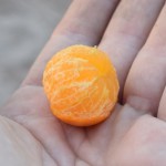 Vismazākais apelsīniņš pasaulē! Un visskābākais arī. Nevarējām uz trijiem pat vienu mazo apelsīniņu pieveikt, nācās pusi mest ārā, ai. Tikai, lūdzu, nenozodziet manus pirkstu nospiedumus, labi?