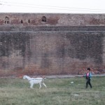 Nezinu, vai šis jaunietis maksāja divdesmit rūpijas par ieeju fortā, un, ja tā, tad vai viņam bija jāmaksā arī par savu kazu. Šīs bildes kvalitāte vispār ir zem katras kritikas, bet paskaties, cik mīļš puisītis! Paskaties uz viņa gaitu! Un paskaties uz viņa kazu! Kā tāds sunītis skrien un velk puiku saitītē!