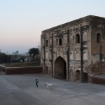 Puika galīgi netiek galā ar savu kazsunīti!