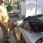 Nākamajā rītā jau laicīgi dodamies uz to pašu pieczvaigžņu viesnīcu, jo šīs ir pēdējās stundas mūsu pēdējā islāma republikā, un, kā jau minēju, mūsu ziedotāju uzdevumus uztveram ārkārtīgi nopietni. Starp citu, noskaidrojās, ka viesnīcas "bārs" strādā no astoņiem rītā līdz četriem pēcpusdienā - tieši tāds bāriem ierasts darba laiks. Godīgi sakot, "bārs" arī īsti neizskatījās pēc bāra (bildēt tur nedrīkst), drīzāk pēc maza lodziņa daudzstāvu autostāvvietas pagrabā. Nu, īsāk sakot, nelegalitātes sajūta nepameta visu darījuma veikšanas laiku. Bildē, ja kas, redzama mūsu bagāžas pārbaude ar suņiem. Viesnīcu teritorijas tiek sargātas vēl nopietnāk nekā Bahria Town.