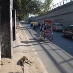 Tā, labi, pietiek sūdzēties. Klāt Ziemassvētku diena, dodamies atkal uz Informācijas centru, to pašu, kurā bijām vakar. Tā un tā, mums vajag vilciena biļetes uz Adžmēru. Izrādās, visas biļetes izpārdotas. Tas liekas ticami, tāpēc vaicājam pēc alternatīvām. Alternatīva, protams, ir doties VIP autobusa tūrē uz Agru, Džaipūru u.t.t. Tas nekas, ka mums tajā virzienā nevajag, tas nekas, ka sakām, ka tik daudz naudas neesam gatavi maksāt. Autobuss taču ir VIP, mums patikšot. Ātri vien atteicāmies un aizgājām uz tiešām oficiālo informācijas centru. Tur mums uzreiz paskaidroja, ka šie "informācijas centri" tam vien ir paredzēti - tūristu krāpšanai, lētu ekskursiju pārdošanai par dārgu naudu, nosaucot tās par VIP tūrēm. Un interesanti ir ne tikai tas, ka tādi krāpnieki pastāv (tādi ir visur, tikai parasti ne tik lielā koncentrācijā), bet arī tas, ka visi zina par viņu eksistenci un darbošanos, bet lietas labā nekā nedara. Tomēr arī oficiālais informācijas centrs nevar palīdzēt ne tikai ar vilciena biļešu iegādi, bet arī ar informāciju par biļešu pieejamību. Būs vien jādodas uz staciju.