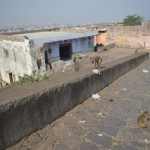 Labrīt! Rītu sākam ar mērkaķīšiem. Patiesībā rītu sākām ar tuktuka medīšanu un vienošanos par piemērotu cenu un tad braucām kādu pus stundu, lai nonāktu mērkaķīšu vietā, bet tas viss neskaitās. Tātad - dodamies uz mērkaķīšu templi, kuru patiesībā sauc par Galta Dži templi, bet, tā kā visiem ir slinkums atcerēties īsto nosaukumu, ērtāk to vienkārši dēvēt par mērkaķu templi, jo visapkārt daudz, daudz mērkaķu! Līdzīga iemesla dēļ šo varētu saukt arī par atkritumu templi, bet tad jau visi Indijas tempļi būtu jāsauc vienādi. Tas nekam neder! Ā, tur fonā, ja kas, redzama Džaipūra.