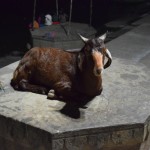 Labi, pietiek līķi un dedzināšanas. Pie tā vēl atgriezīsimies nākamnedēļ, bet pagaidām skaties pjedestāla kazu.