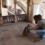 Es gan neļauju mērkaķiem kāpt uz pleciem (patiesībā nevarēju nevienu pierunāt to darīt), tā vietā pabaroju mazos bērniņus. Viņi pieklājīgi, ņem pa vienam riekstiņam, nemaz nemēģina izraut visus, kas man rokā. Mīļumi!