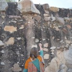 Tomēr bailes nekur tik ātri nepazūd. Mērkaķīšu vietā Karīna izvēlas barot vāveres (skatīt bildes augšējā malā, viena, pagriezusi pret Karīnu asti, sēž uz pašas maliņas), kuras ar to gan nav mierā, un no riekstiem totāli atsakās.